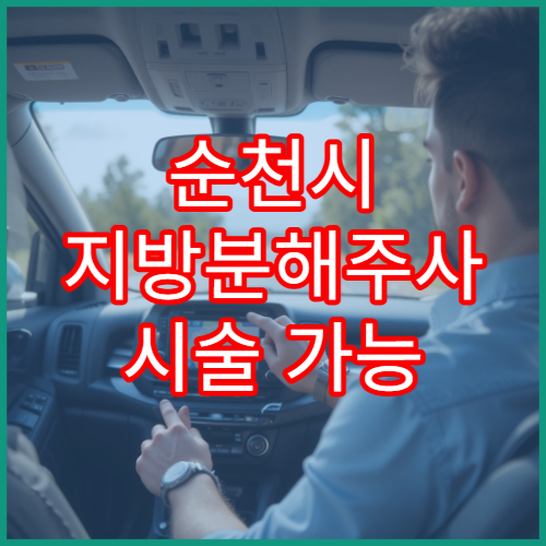 순천시 지방분해주사 시술 가능 병원 및 비용안내