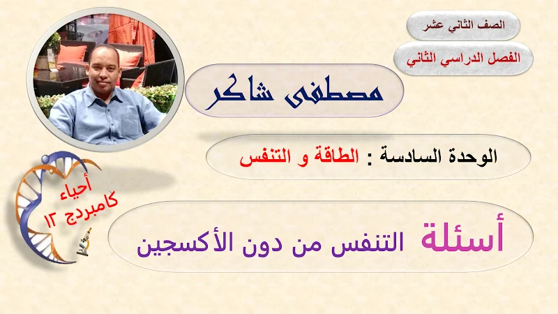 صورة الغلاف