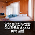 뚜옌람 미니하우스 달랏 뷰맛집 후기 앤 예약 꿀팁