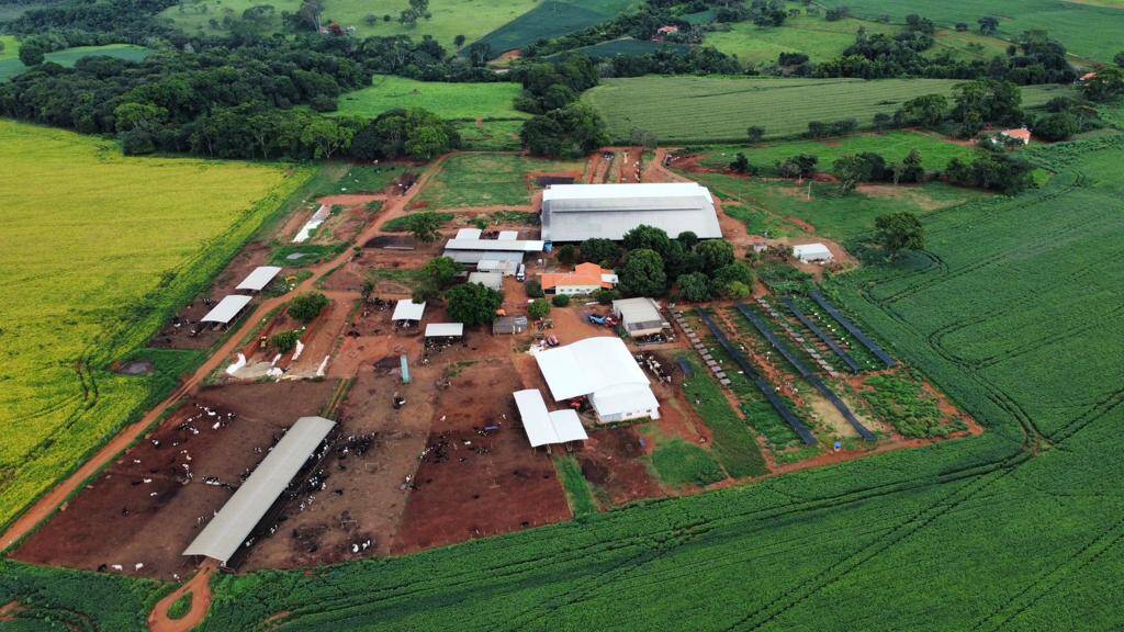 Fazenda no Município de Vianópolis - GO 7