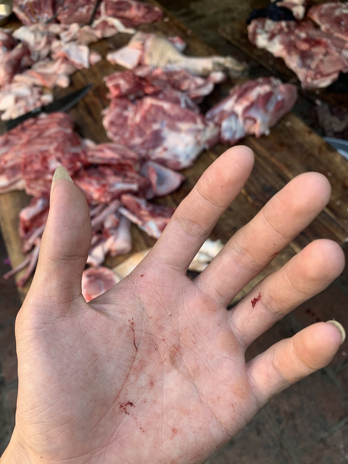 Đời người rốt cuộc đang theo đuổi điều gì?