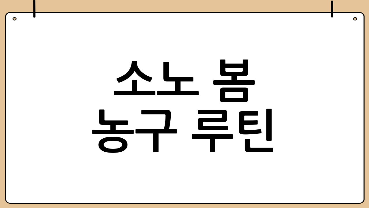 소노 봄 농구 루틴: 4주 실전 플랜