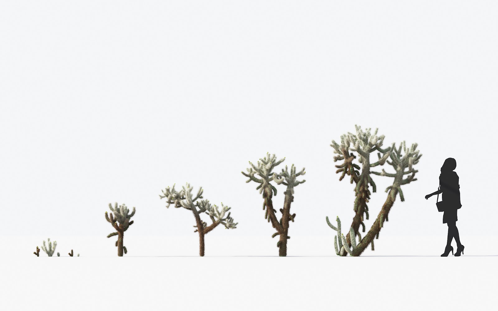 Maxtree - Plant Models Vol.17