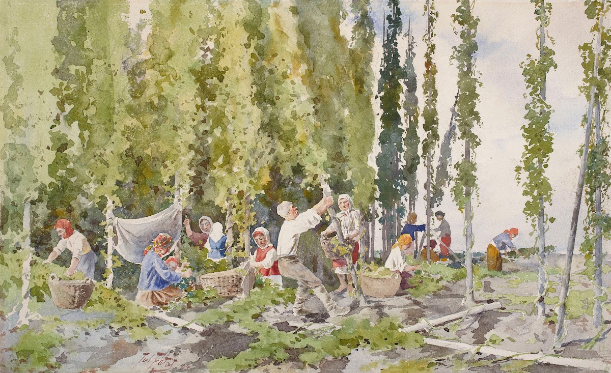 Hop picking 1884