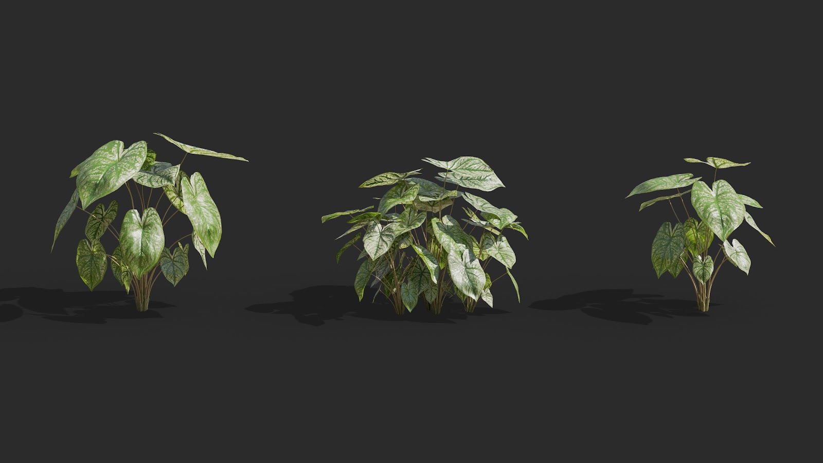 Maxtree - Plant Models Vol.62