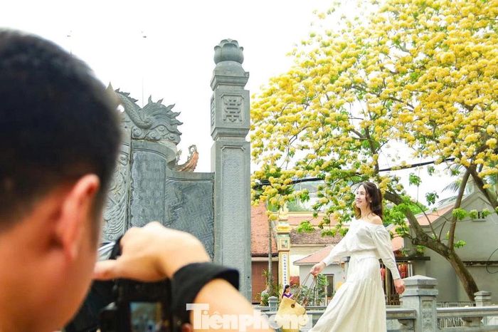 Người Hà Nội bắc ghế săn ảnh hoa bún chỉ nở một lần trong năm - Báo Tiền Phong