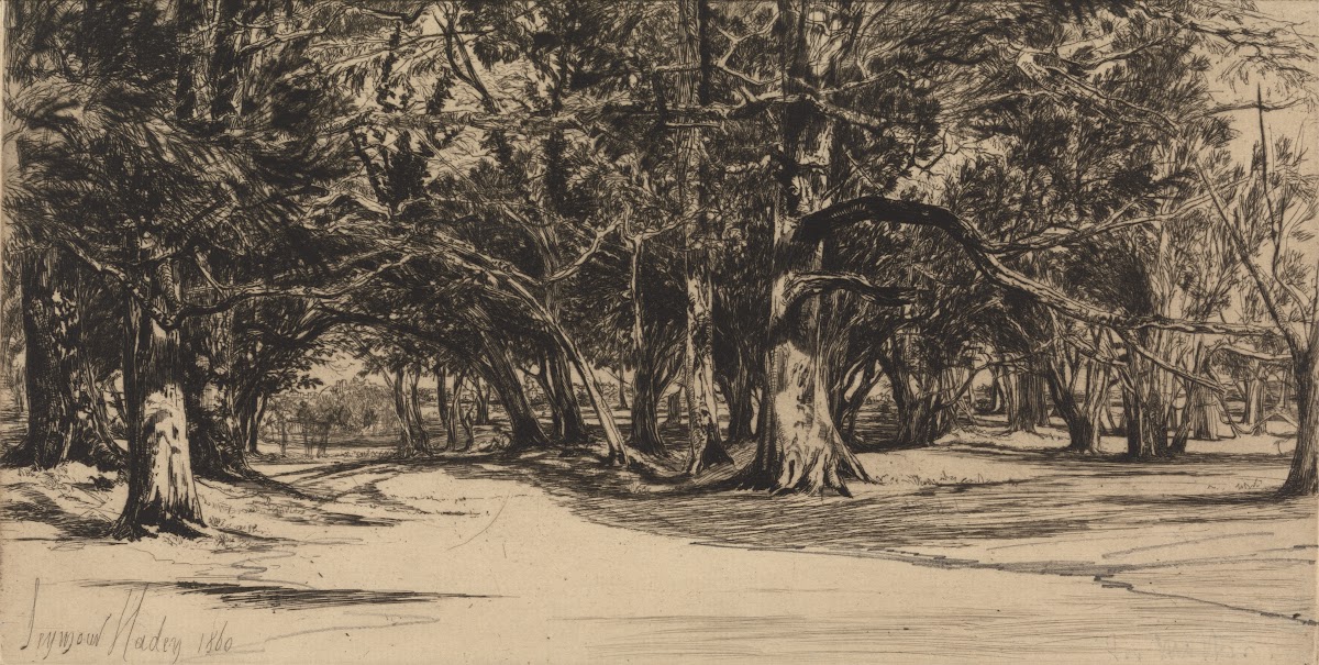 A Byroad in Tipperary 1860