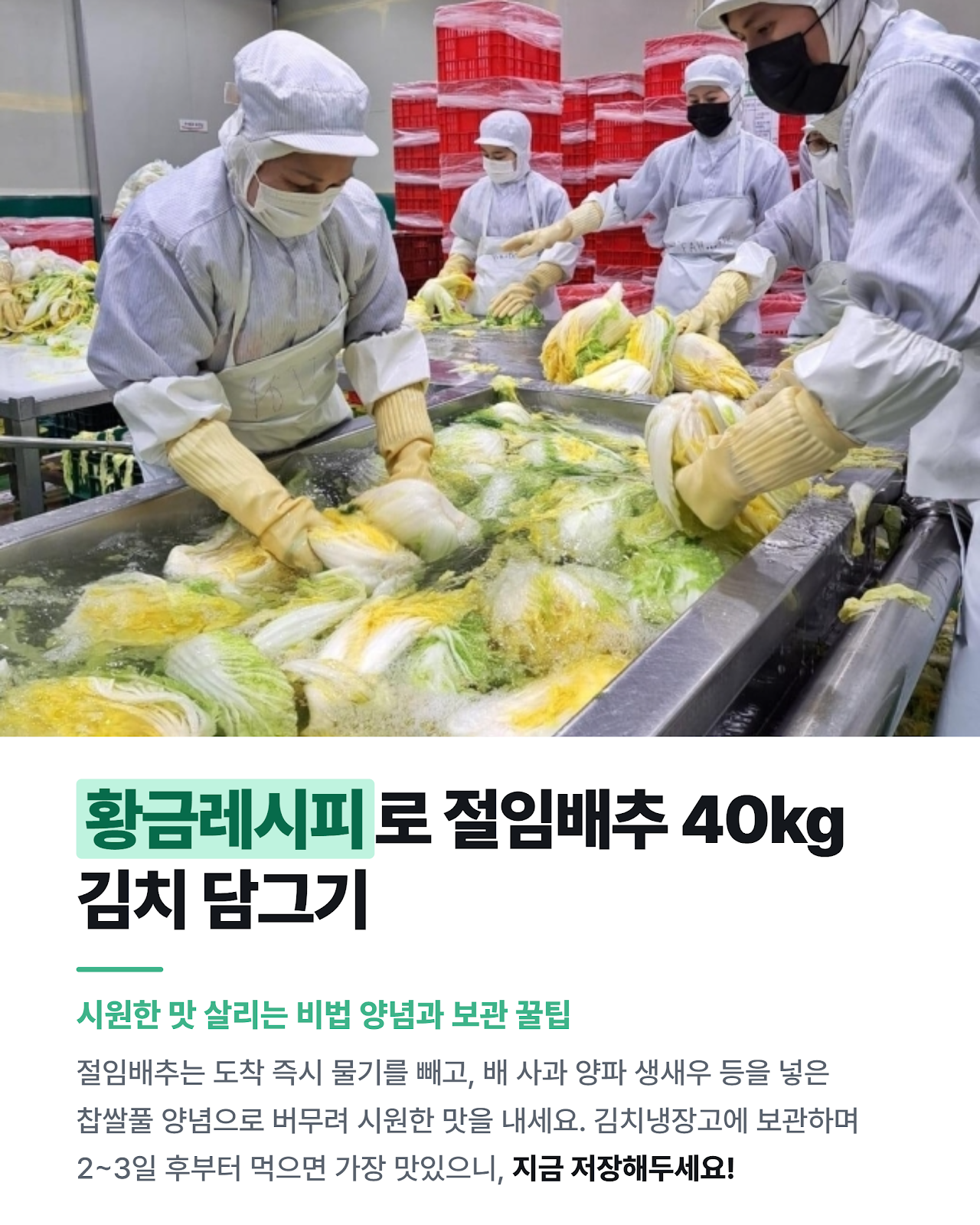 카드뉴스