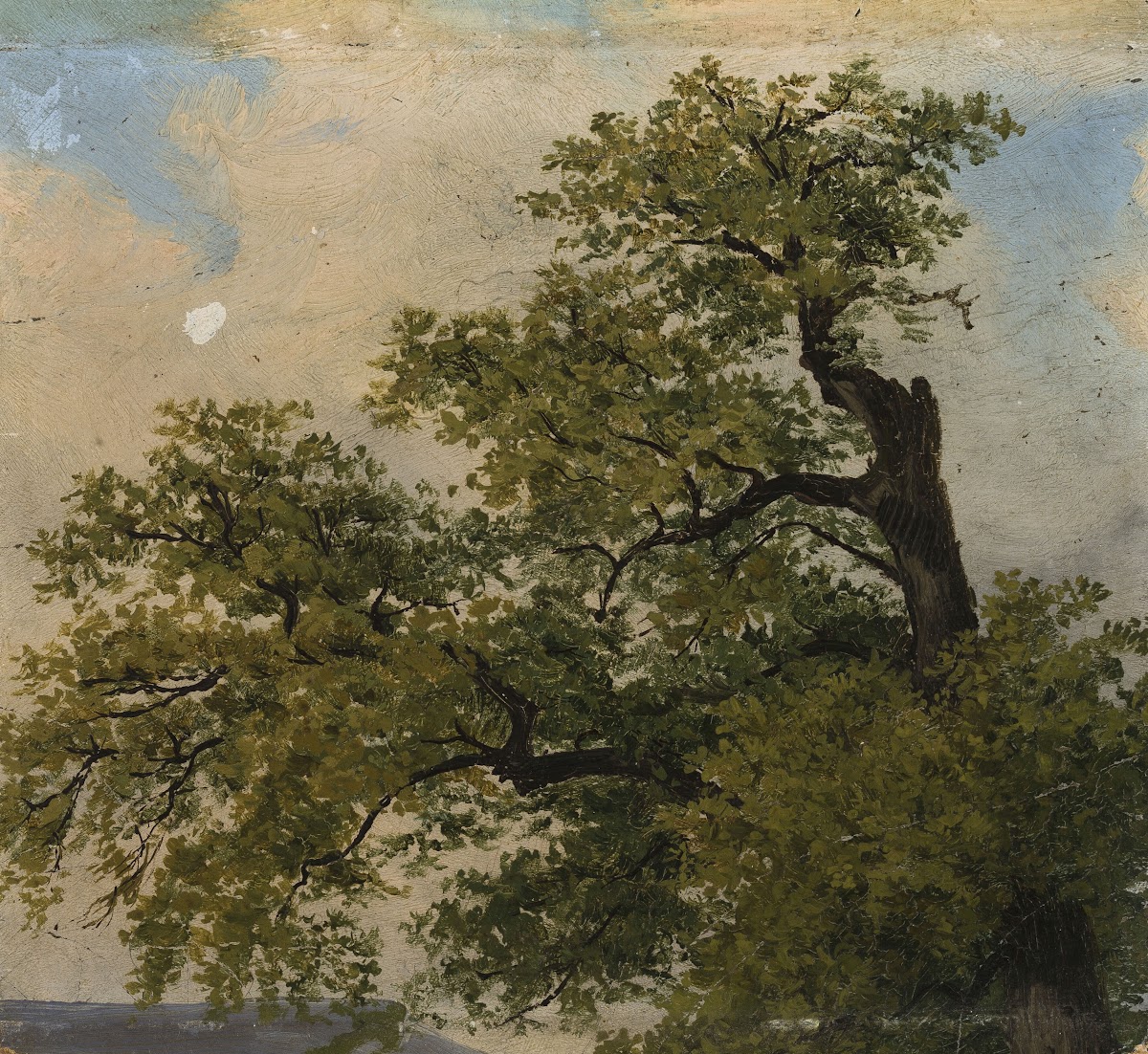 Trees
