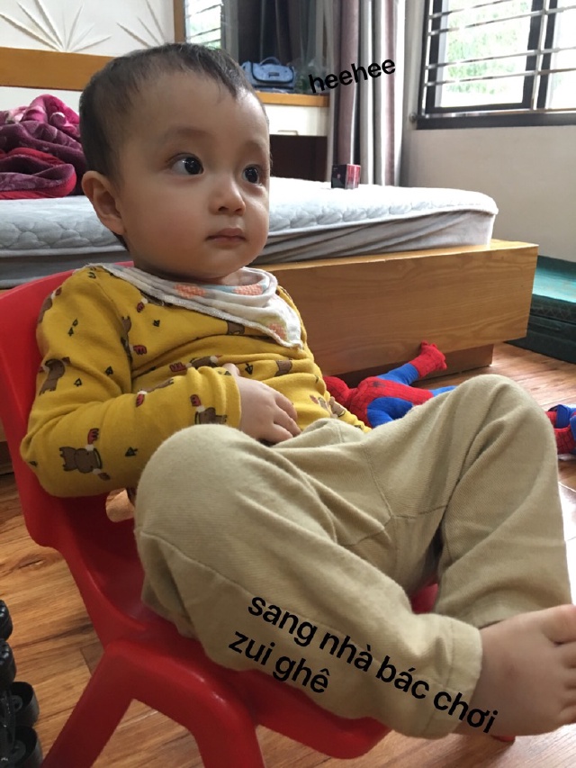 Milo Bọt Biển