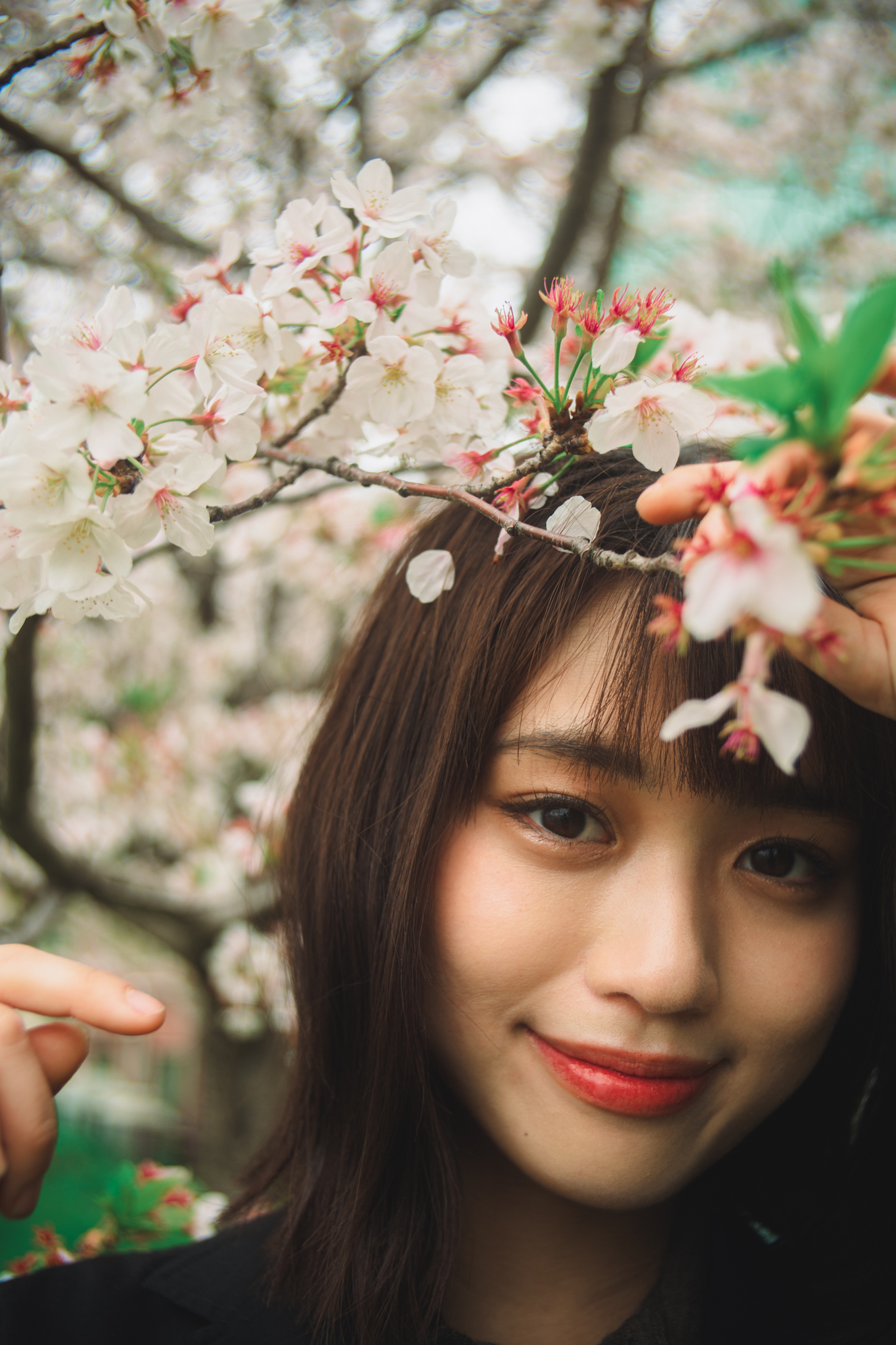 Portrait — Makino Shota