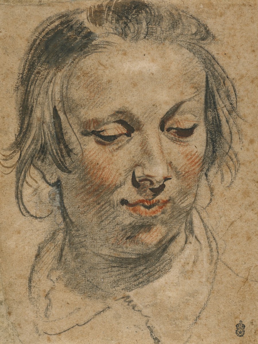 Head of a Woman 1635