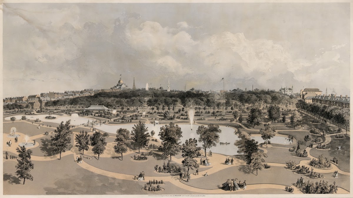 View of the Public Garden  Boston Common  from Arlington St