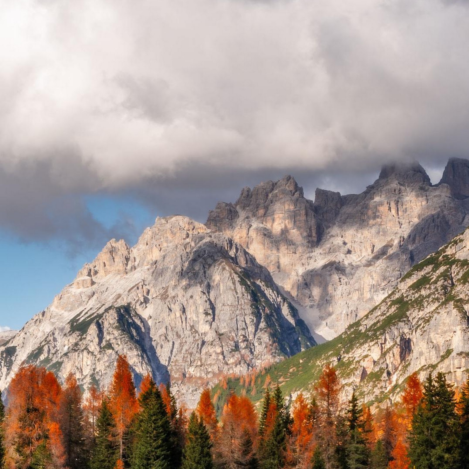 Download Autumn Horses Near Alpine Peaks iPhone