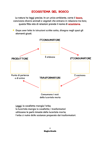 Anteprima della prima pagina: Ecosistema bosco