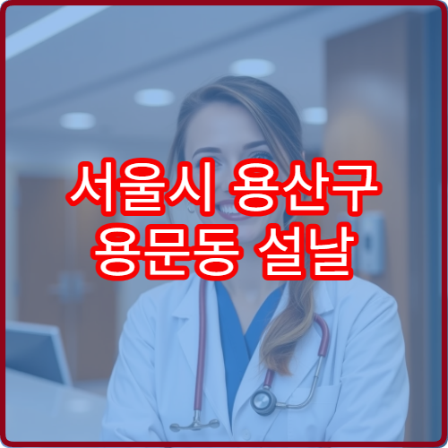 서울시 용산구 용문동 설날 명절 연휴 당번약국 용문역·백범광장 인근 야간 응급약 판매 약국 위치