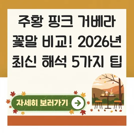 주황 핑크 거베라 꽃말 비교