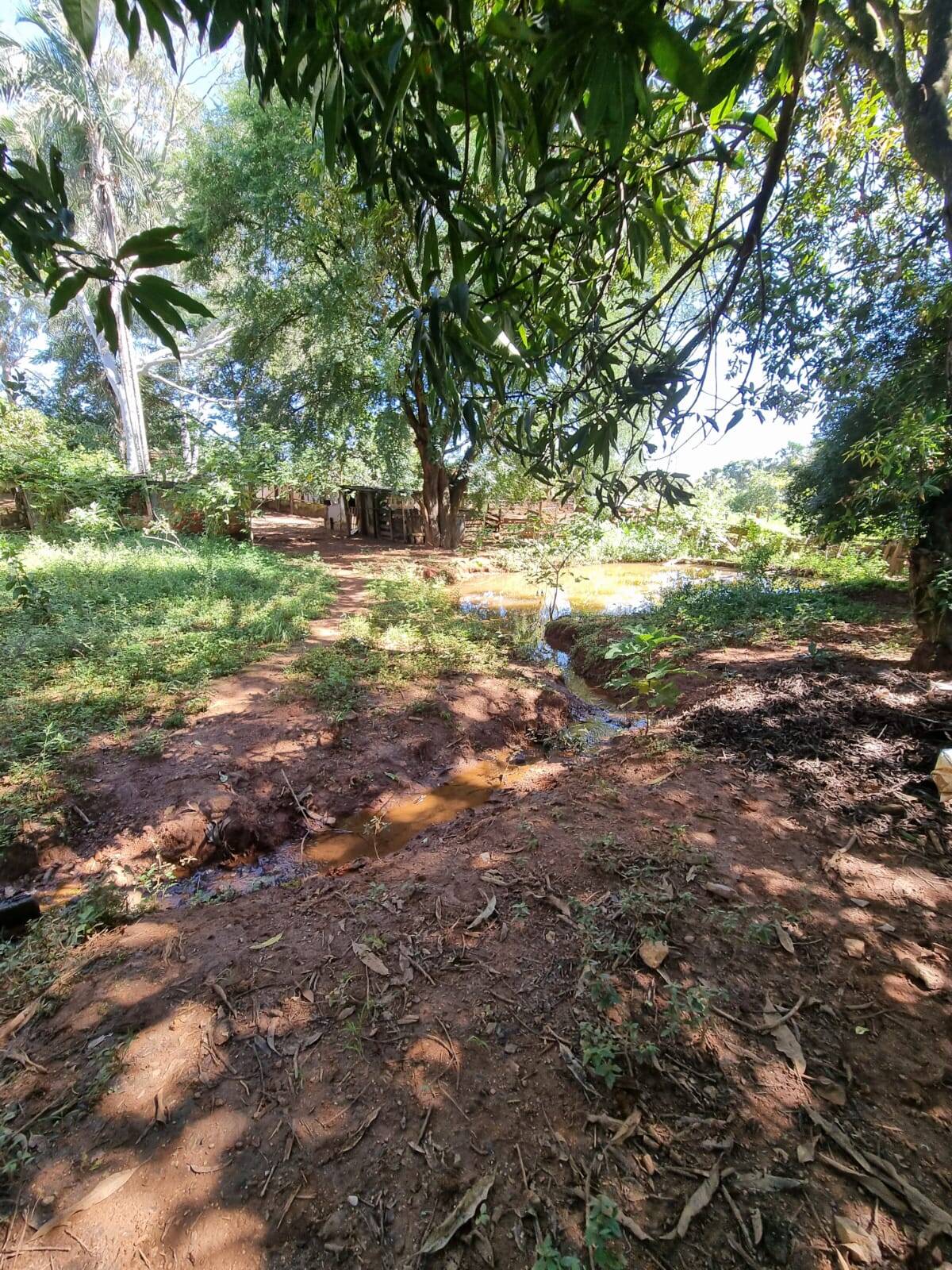 Chácara no Garavelo Sul (Hidrolândia-GO) 8