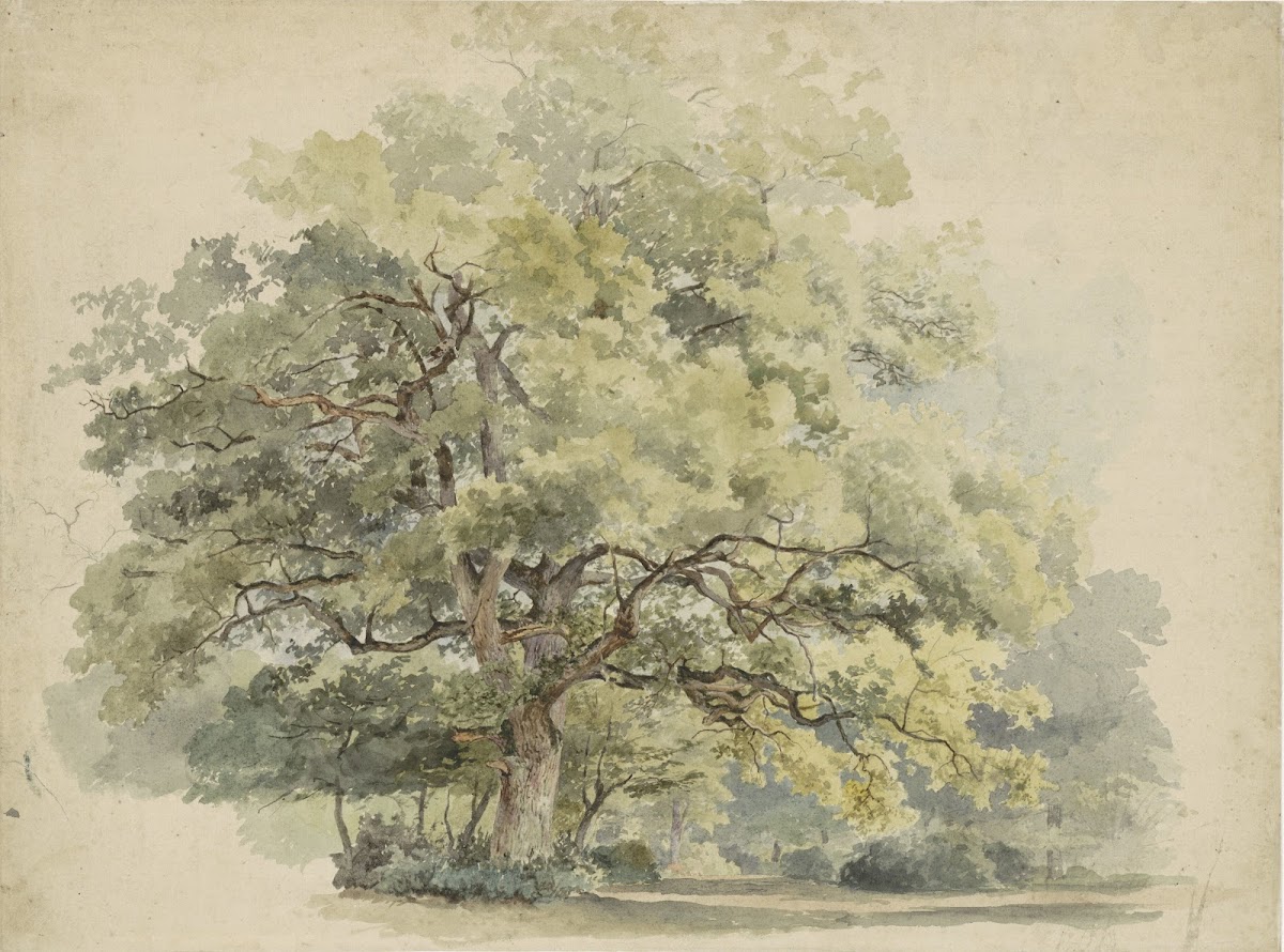 Boomstudie 1819   1887