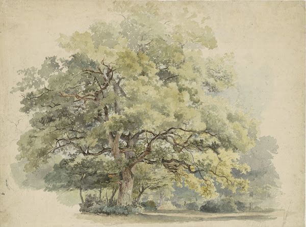 Boomstudie 1819   1887