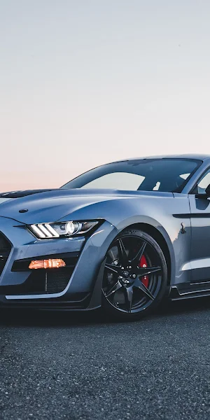 Shelby, Mustang, GT500, Muscle, Car 4K Wallpaper Background