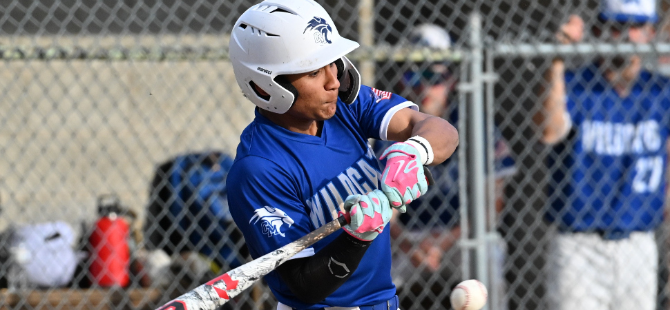 April 13 PHAC Scoreboard