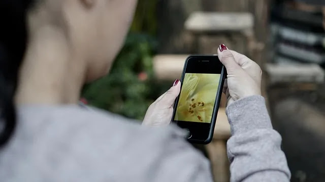 통신사 바꿨는데 요금이 기대보다 안 줄어드는 이유