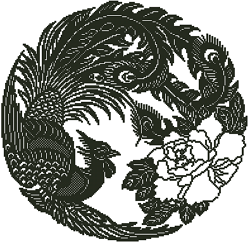 CMP 6677 Pattern