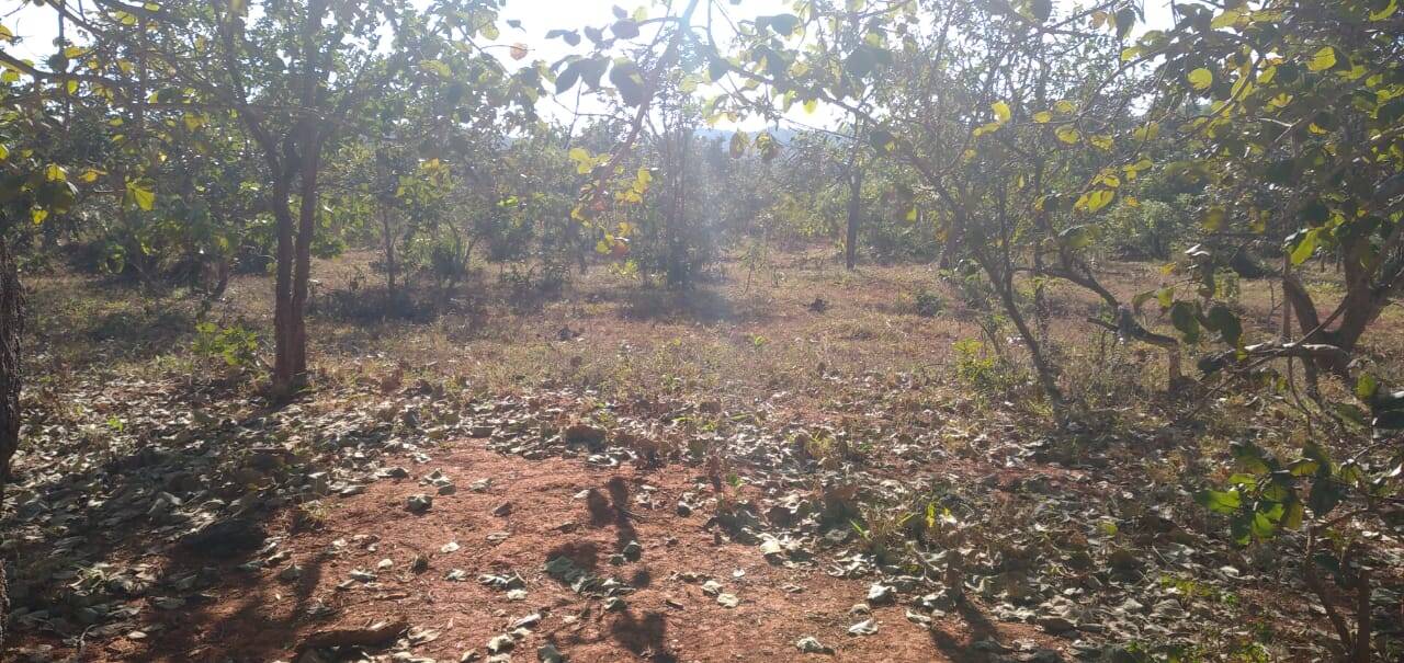 Fazenda em Água Fria - GO 2