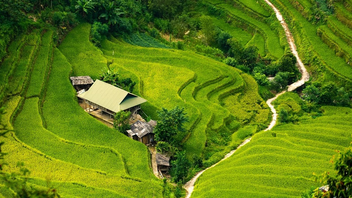 월세 절약하는 전기·가스 요금 절감 전략