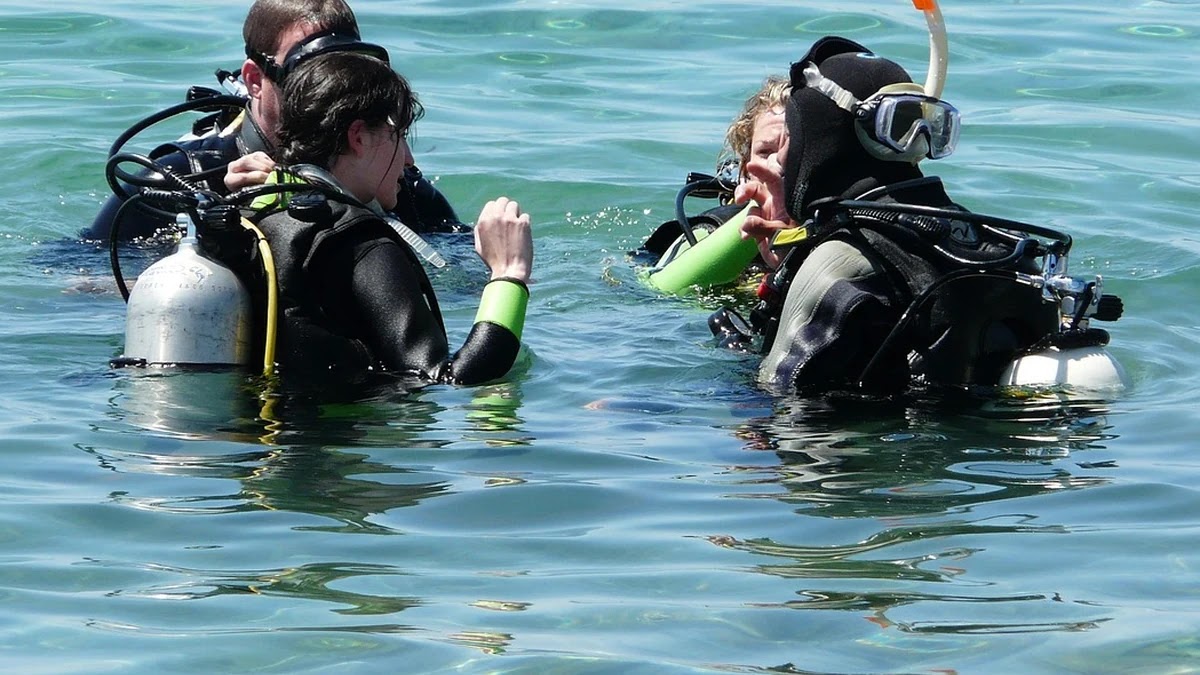 신용점수기준 종류별 차이와