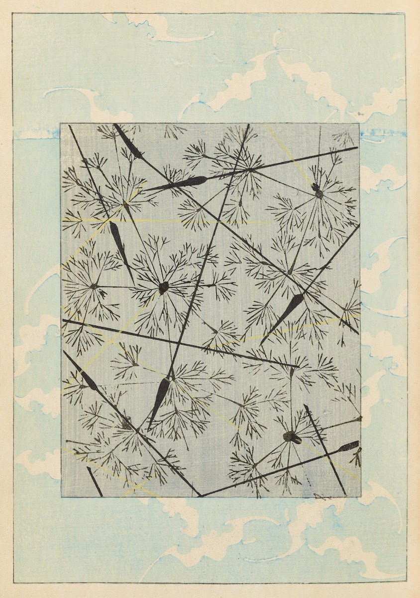 Shin Bijutsukai Pl325 1901 1902