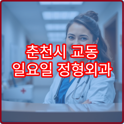 춘천시 교동 일요일 정형외과 주말 진료 정보