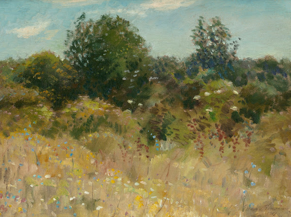 Our Back Yard When I was Young 1919