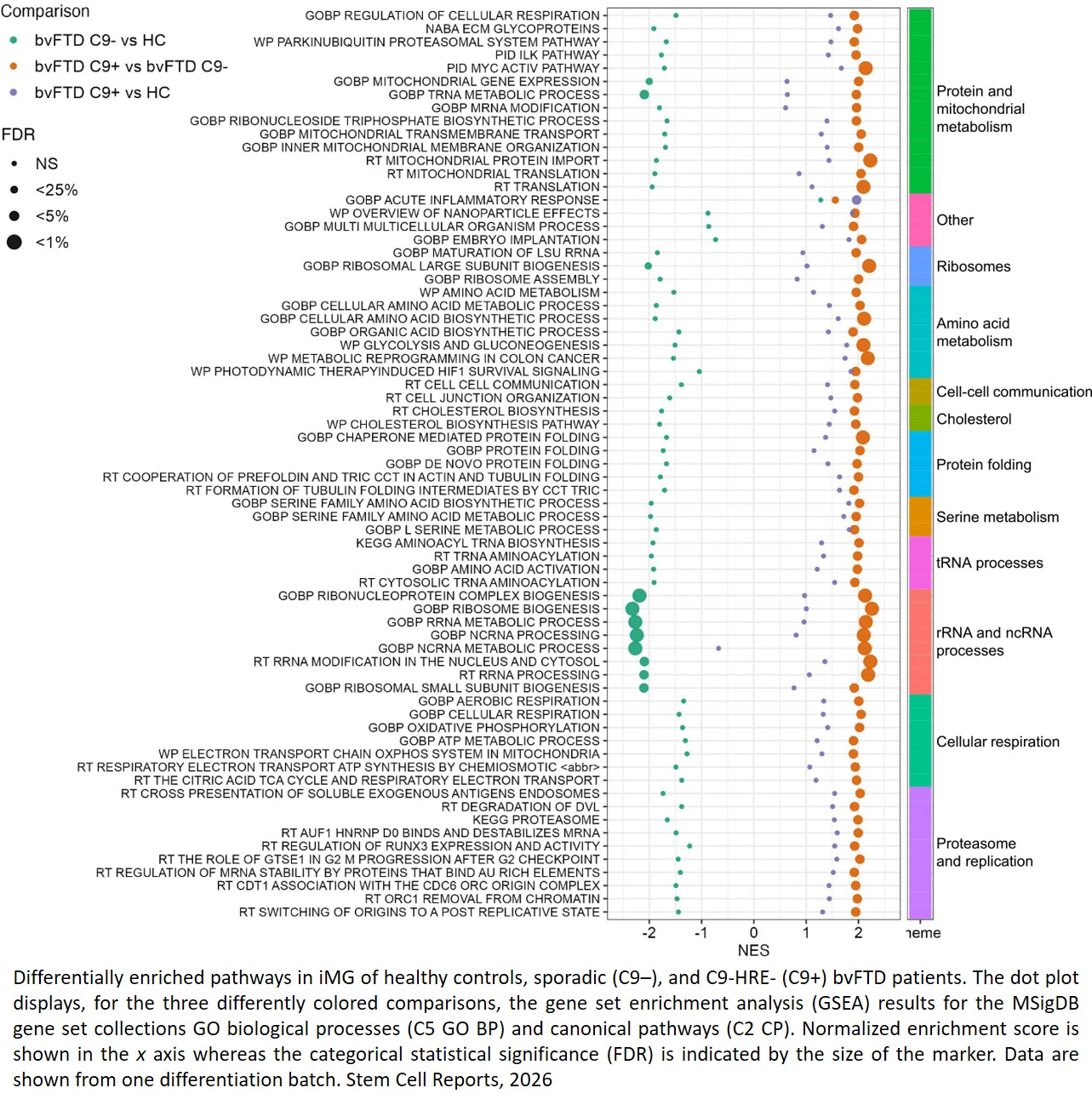 C9orf72-associated and sporadic FTD patient iPSC-microglia show differences in phagocytosis and gene expression