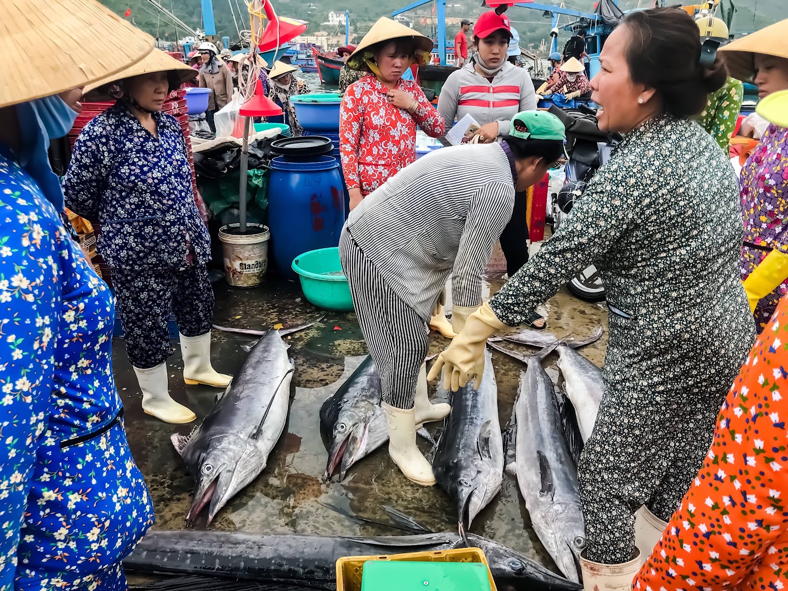 Fish for 60% animal protein consumption in Indonesia. Blue Economy Indonesia, Blue economy beginner guide. CarbonEthics Indonesia