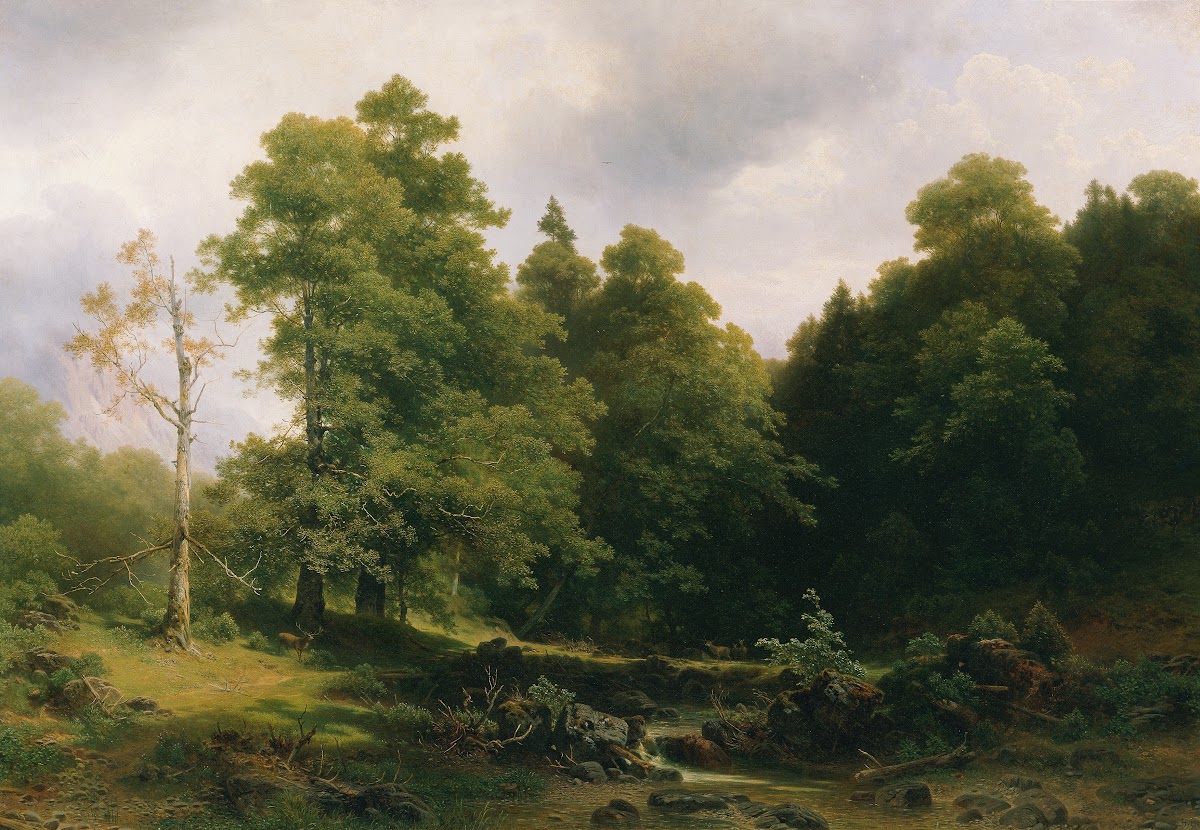 Der stille Waldwinkel
