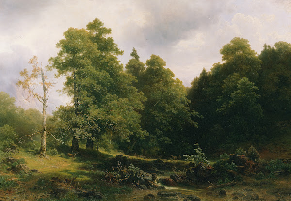 Der stille Waldwinkel