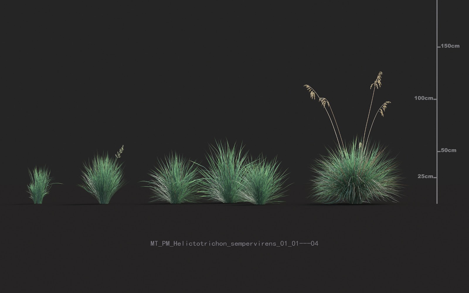 Maxtree - Plant Models Vol.20