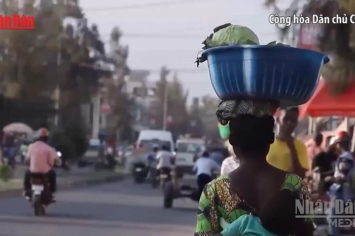 [Video] WHO cảnh báo nguy cơ gián đoạn thương mại tại châu Phi vì dịch Ebola - Báo Nhân Dân