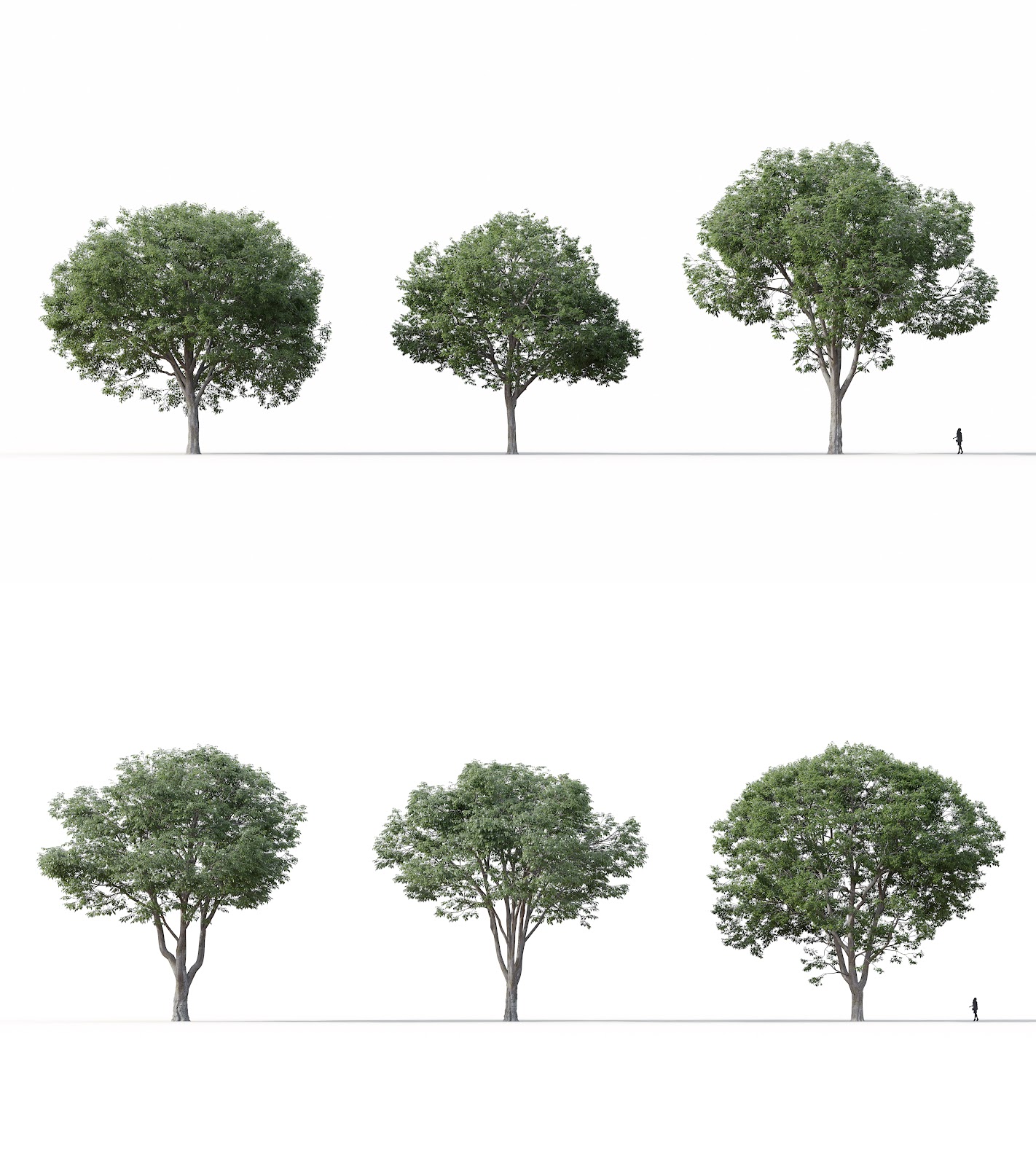 Maxtree - Plant Models Vol.16