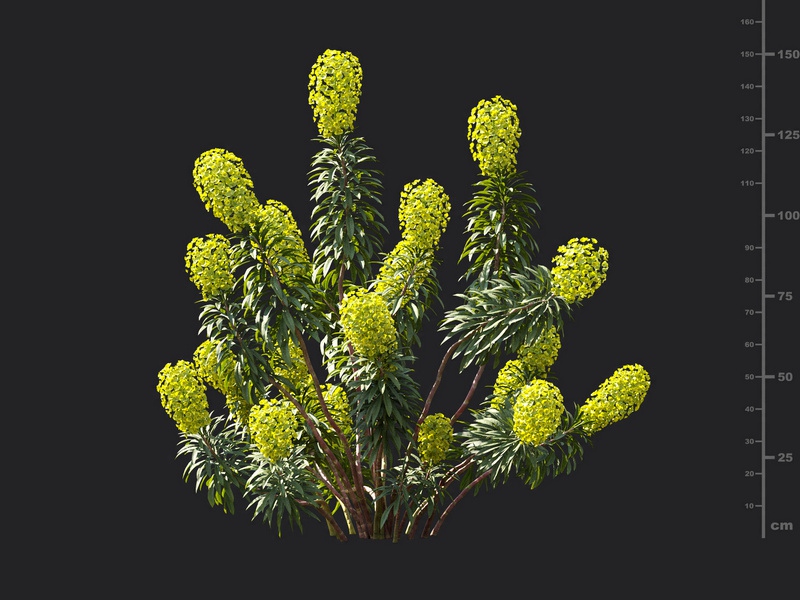 Maxtree - Plant Models Vol.119