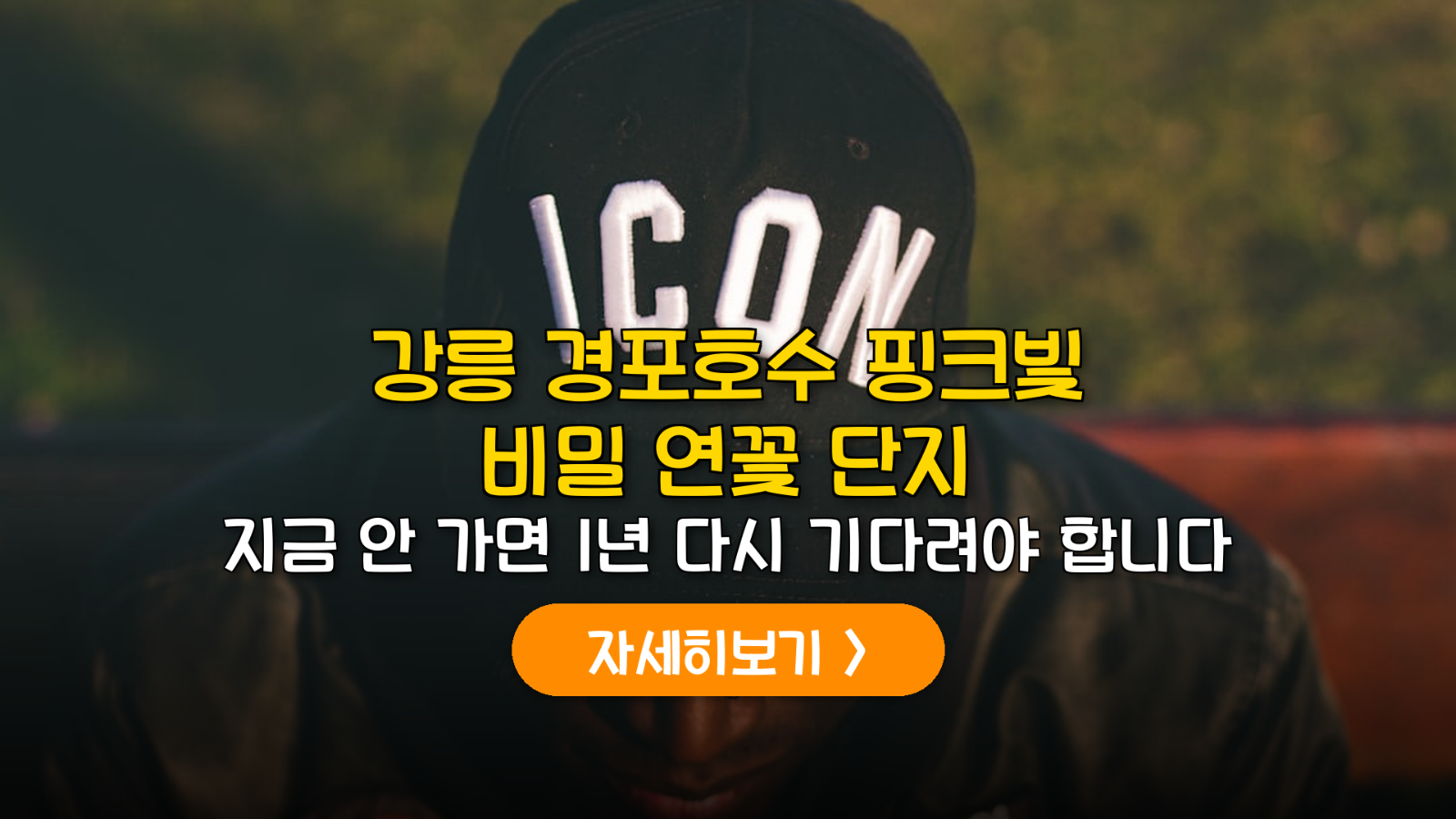 강릉 경포가시연습지 연꽃 시기 및 경포호수 자전거 코스 가이드