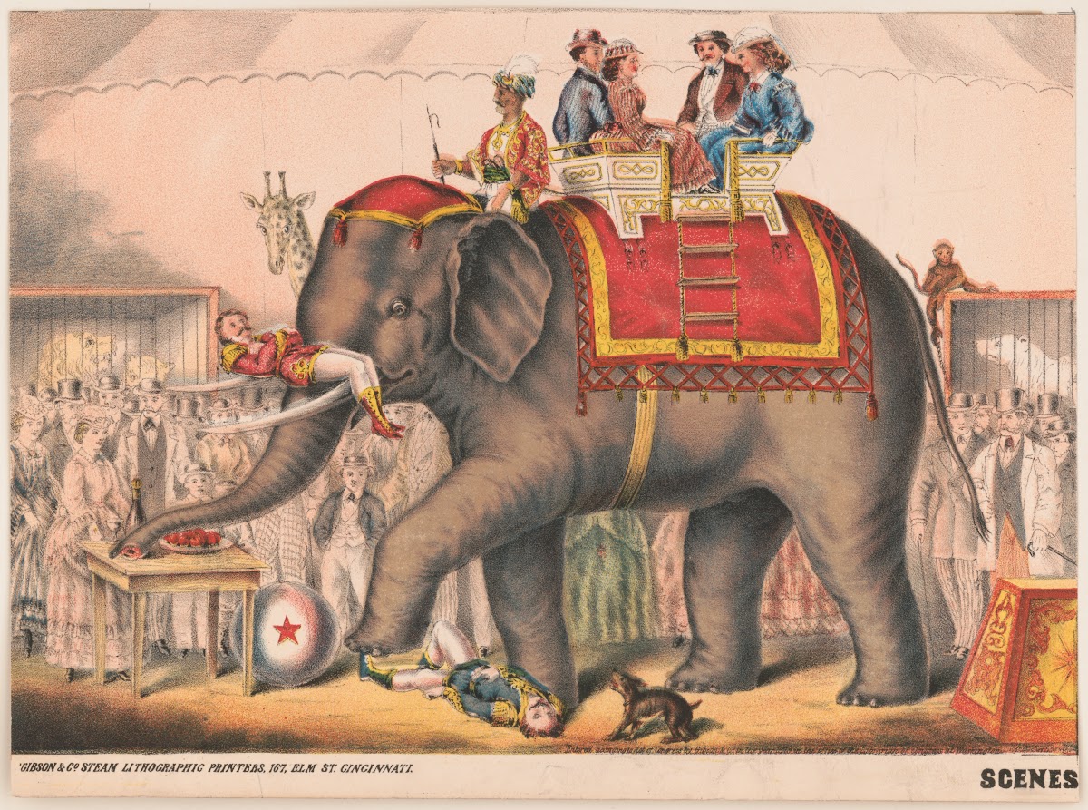Scenes in the arena 1873