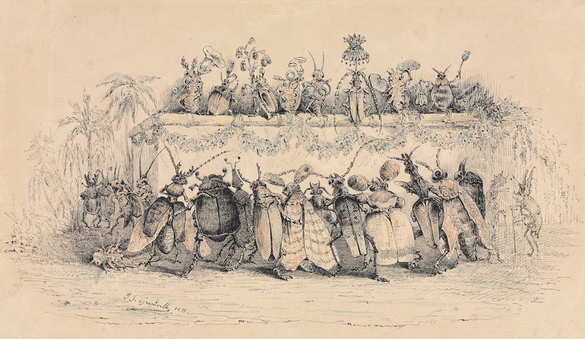 An Insect Ball 1835