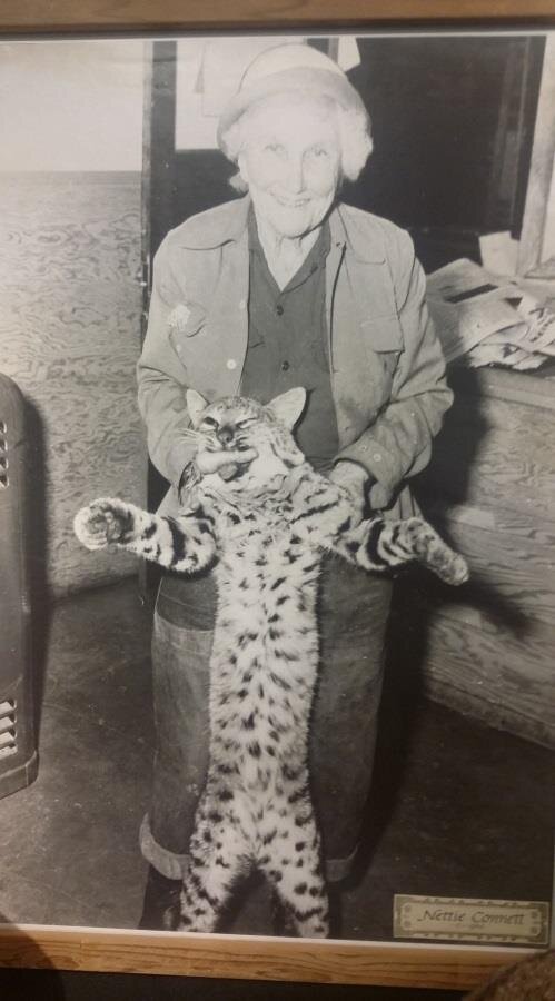 Nettie Connett: The Woman Who Became a Legend