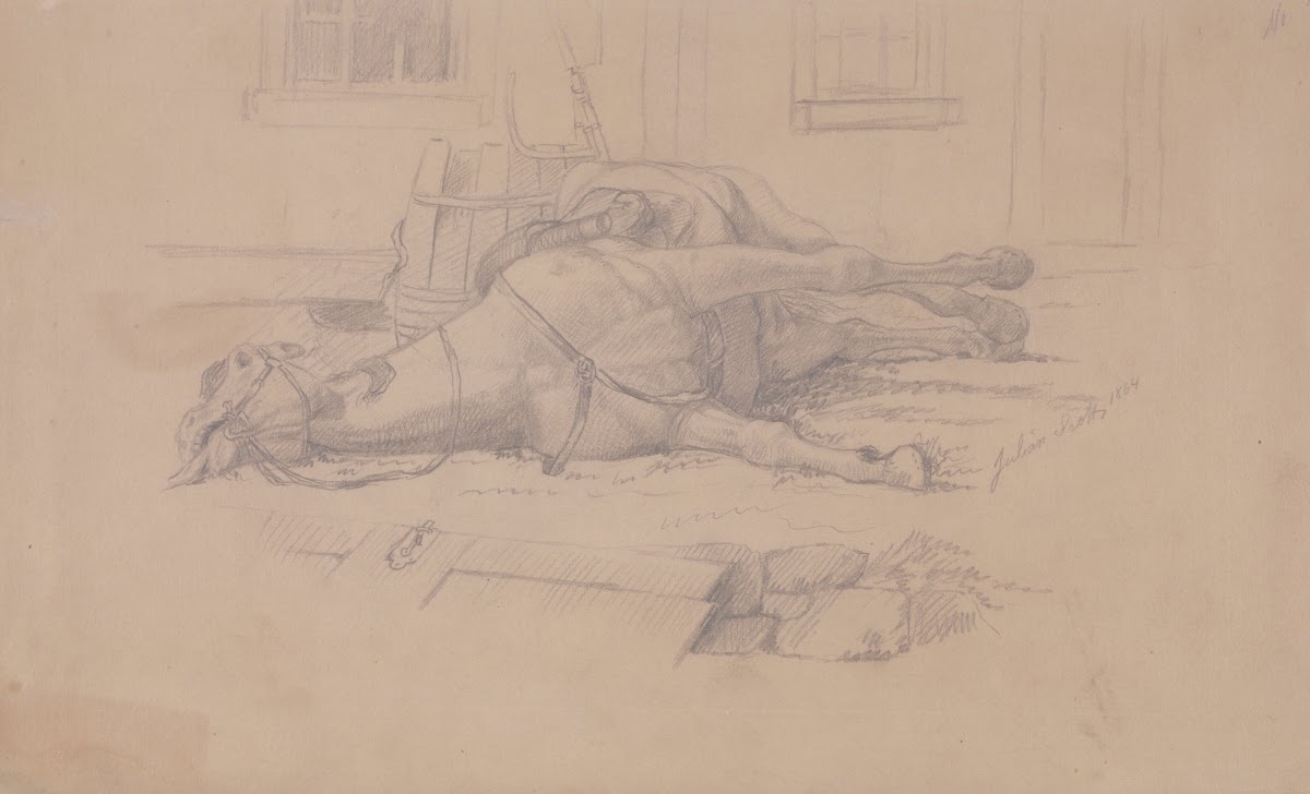 Dead Horse 1864