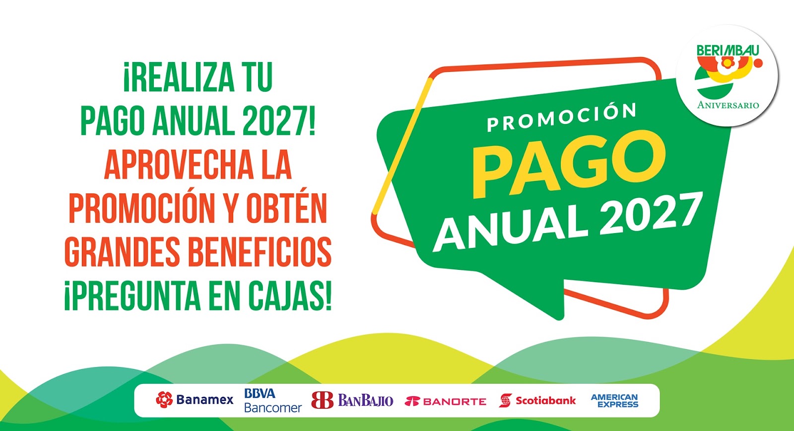 0_150_0_ PANTALLA BREVE PAGO ANUAL.jpg