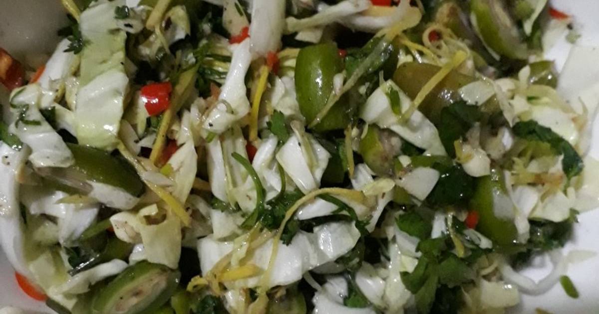 Nhót dầm Tây Bắc