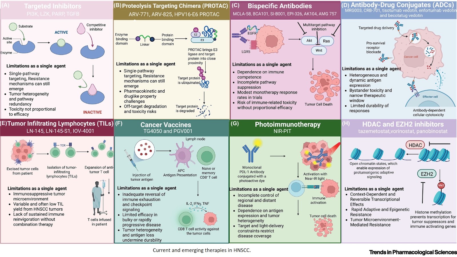 The emerging landscape for next-generation HNSCC treatment